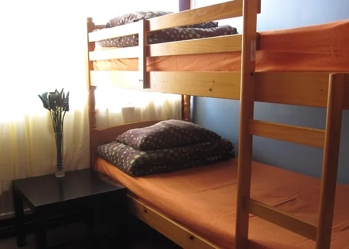 Hôtel accueillant les animaux: Birmingham Central Backpackers